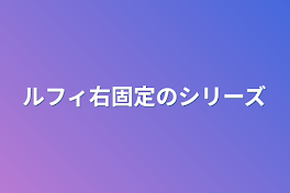 ルフィ右固定のシリーズ