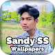 Download Sandy SS Saputra Wallpaper Foto Offline For PC Windows and Mac 1