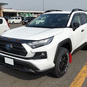 RAV4 AXAH54