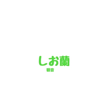 「しお蘭   ( 獅音×蘭」のメインビジュアル