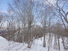 徳平山へ向かう