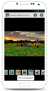 Horses slideshow & Wallpapers Screenshots 0