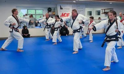 Aavam Taekwondo Trainer