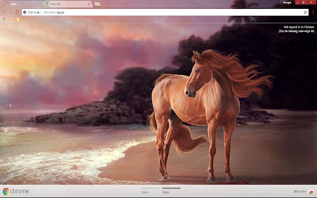 Horse Sea shore 1920*1080 chrome extension