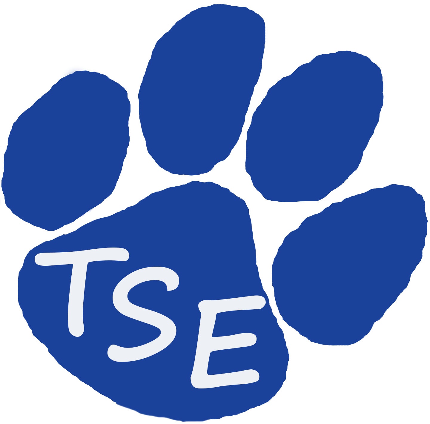 TSE Logo