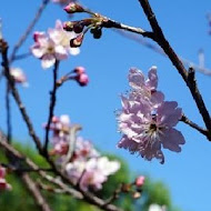 梁家芽園