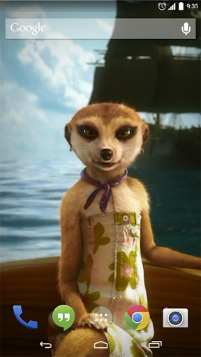 Dream Meerkat Live Wallpaper