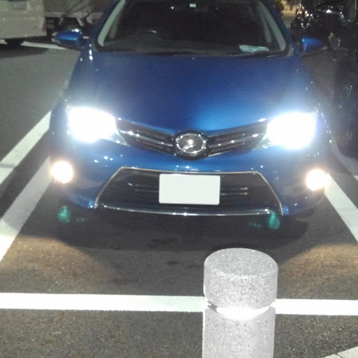 SEのプロフィール画像