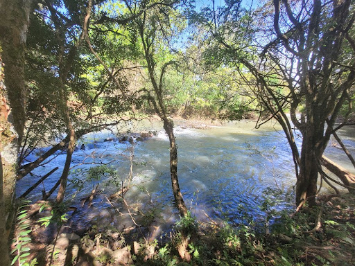 Sítios à venda Interior