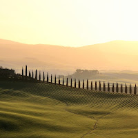 ombre di un'alba in Val d'Orcia di stefanoconsoli3