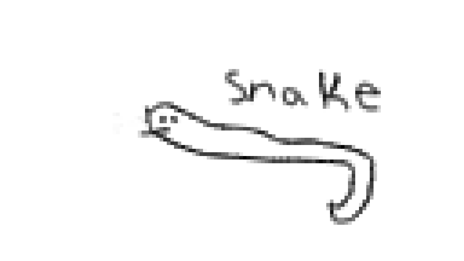 Ssssnake 