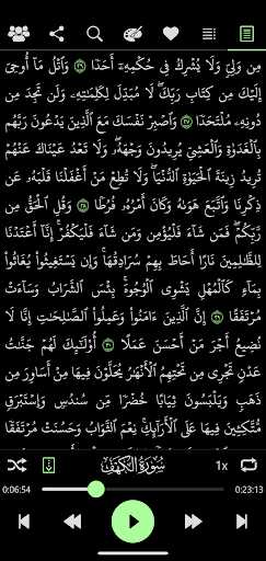 Screenshot ماهر المعيقلي - بدون انترنت