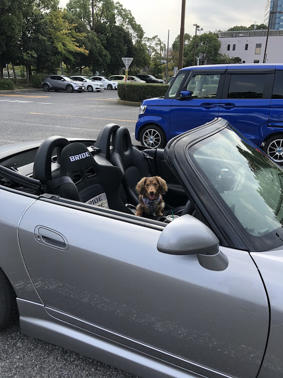 S2000のドライブに関するカスタム事例の投稿画像4枚目