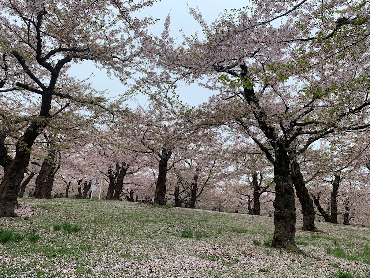 の投稿画像3枚目