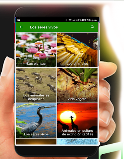 Curso de ciencias naturales