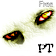 Paranormal Territory Free icon