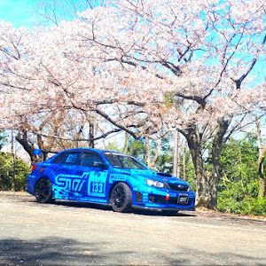 インプレッサ WRX STI