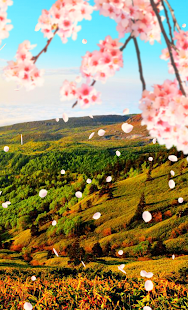 How to get 【Shibutoge and Sakura 】 1.0.0 apk for bluestacks