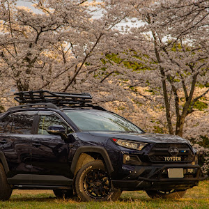RAV4 MXAA52