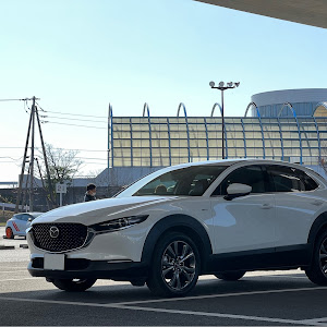 CX-30 DM8P