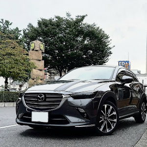 CX-3 DKEFW