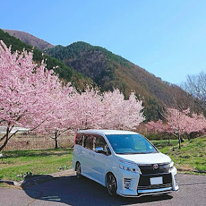 ヴォクシー ZRR80W