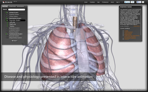 BIODIGITAL HUMAN