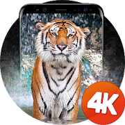 Animals wallpapers 4K 2.0.4 Icon