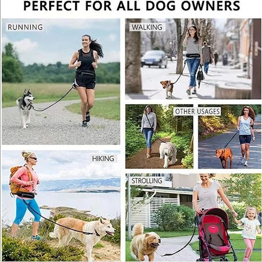 Dog Running Leash with Zipper Pouch, Elastic Bungees Retractable Rope for Medium and Large Dogs, Waist Bag Pack Carry Al