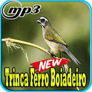 Trinca Ferro Boiadeiro Mineiro Mp3  Icon