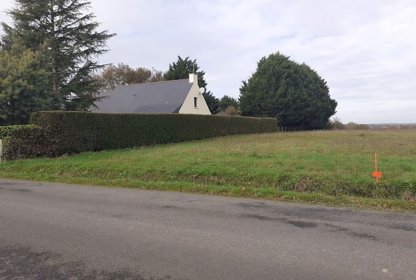  Vente Terrain + Maison - Terrain : 930m² - Maison : 75m² à Saint-Gildas-des-Bois (44530) 