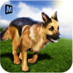 Cover Image of ดาวน์โหลด เกมสุนัขต้อนแกะ: สุนัขสัตว์เลี้ยง 1.4 APK