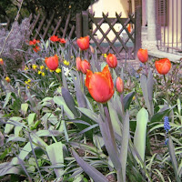 I fiori della nonna di 