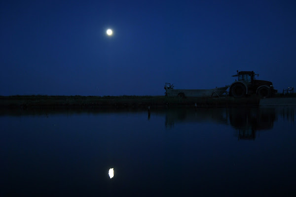 Riposo notturno di PH Federico Pilli 