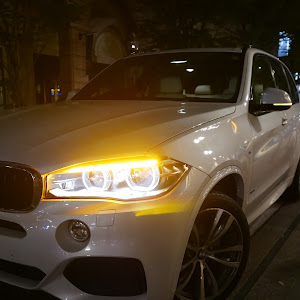 X5 xDrive 35d