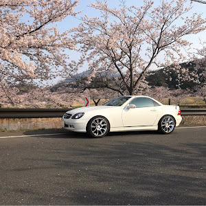 SLK R170