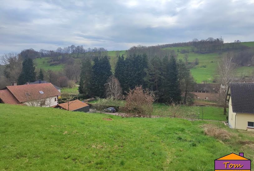  Vente Terrain à bâtir - 980m² à Walschbronn (57720) 