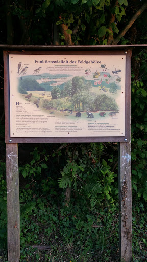 Funktionsvielfalt der Feldgehölze