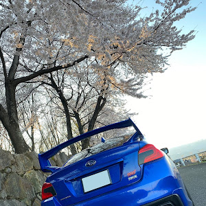 WRX STI