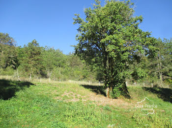 maison à Coly (24)