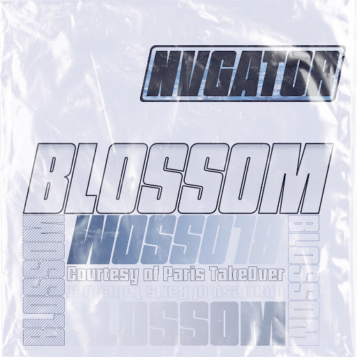Blossom - YouTube Music