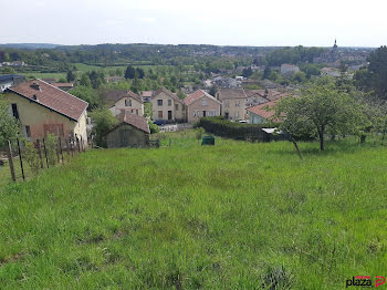 terrain à Neufchâteau (88)