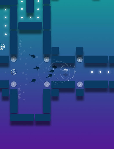 Quantum Lake
