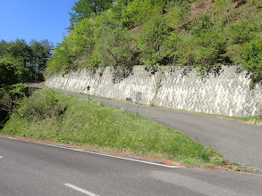 林道分岐（先程の林道はここで合流）