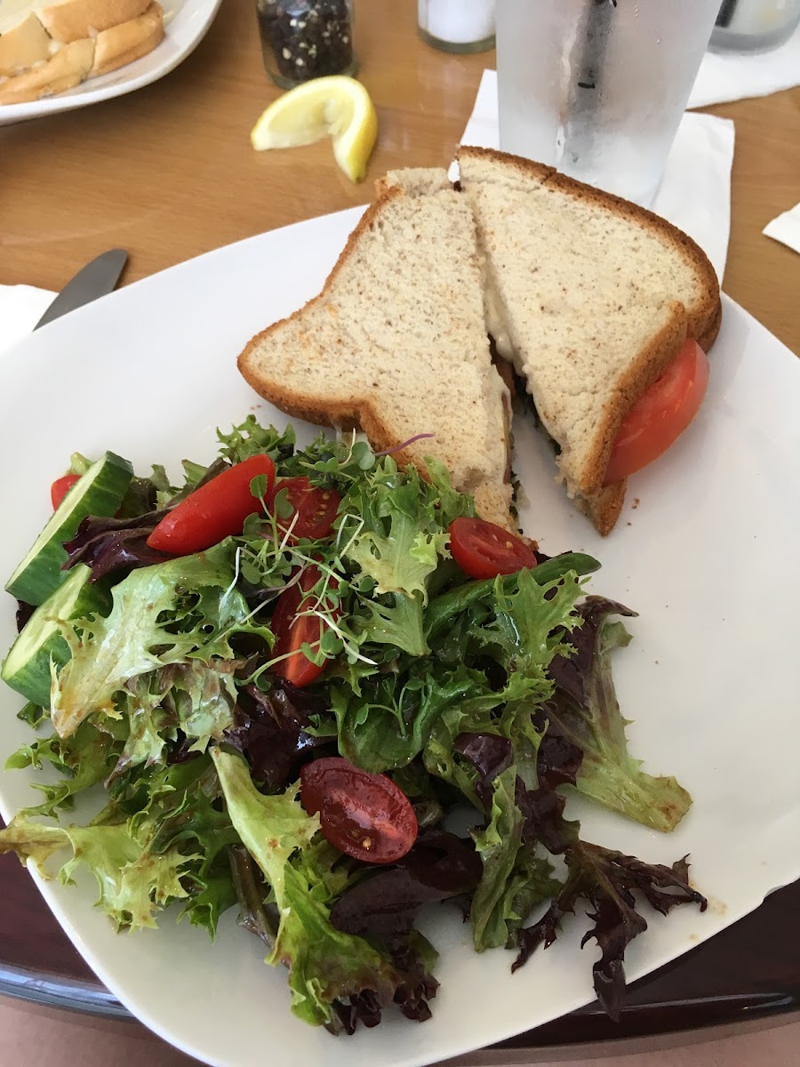 Mozzarella/pesto/tomato panini on GF bread and side salad.