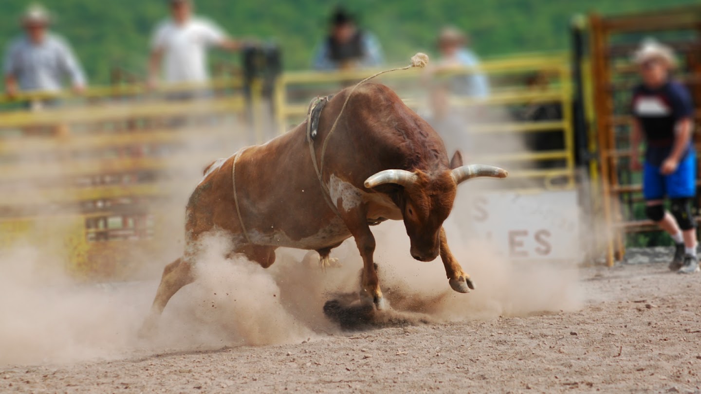 Watch Professional Bull Riders live