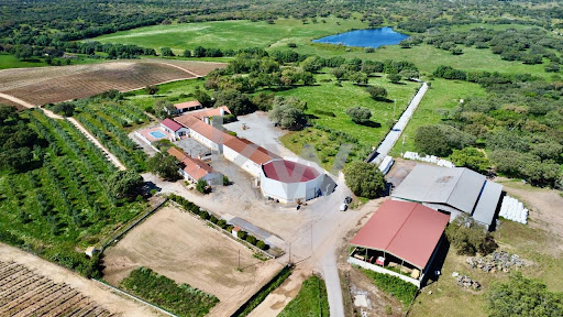 Corps de ferme avec jardin et piscine 5