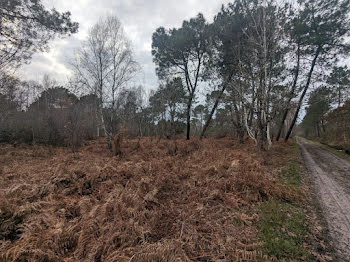 terrain à Naujac-sur-Mer (33)