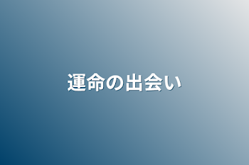 運命の出会い