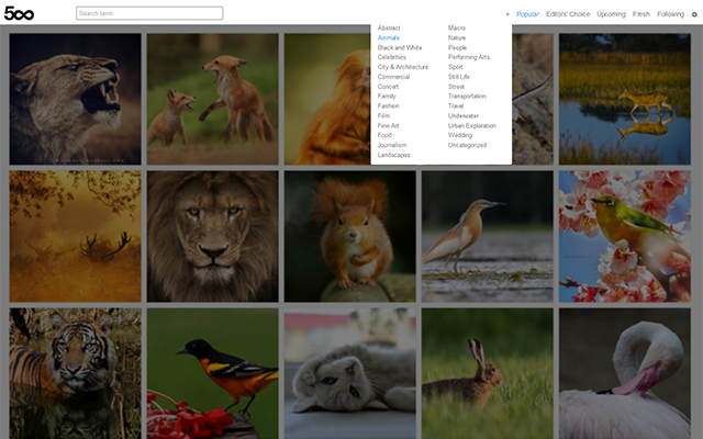 500px New Tab Preview image 1